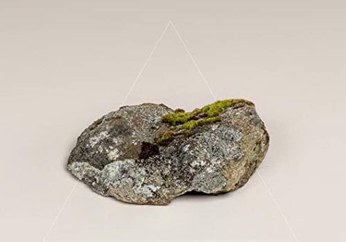 Fergus McCreadie Cairn